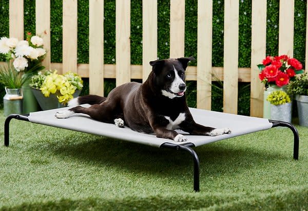 cheap dog beds frisco framed
