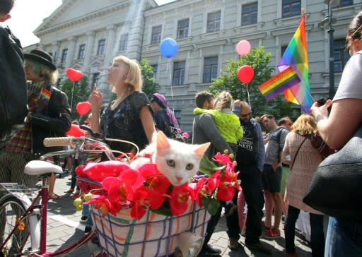 LGBT rights demonstrators gather in 2016, in Vilnius