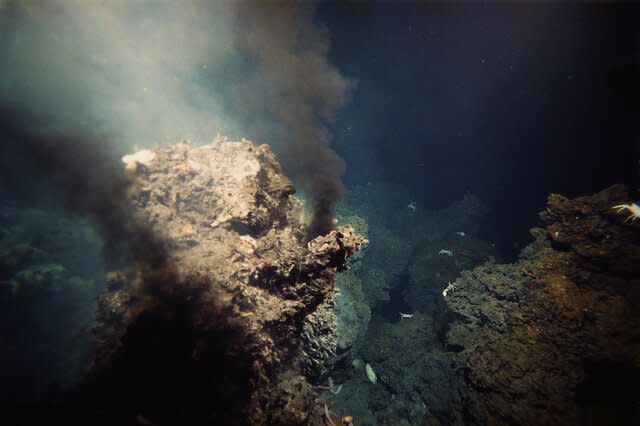 Liz Hydrothermal Vent GETTY