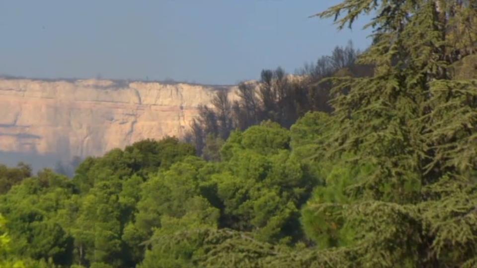 Plusieurs hectares ont brûlé dans un incendie qui s'est déclenché entre Rognac et Vitrolles. - BFMTV