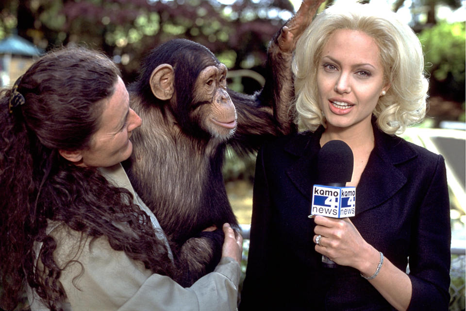 Angelina Jolie interviews a chimpanzee