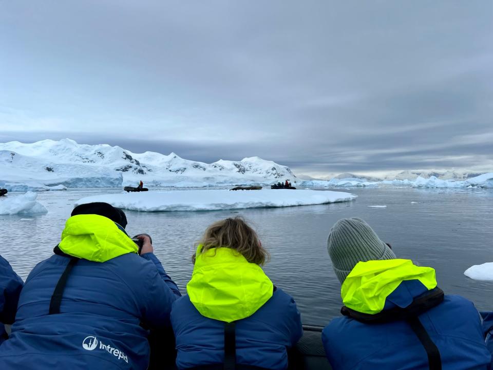 Passagiere der Intrepid Travel mit Blick auf die Antarktis. - Copyright: Taylor Rains/Business Insider