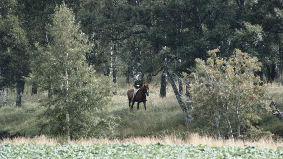 Queen Elizabeth II horse riding on the Balmoral estate, Scotland, Great Britain, September 1982. (Photo by Tim Graham Photo Library via Getty Images)