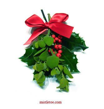 Mistletoe and Holly Sprig, $6.29, mistletoe.com