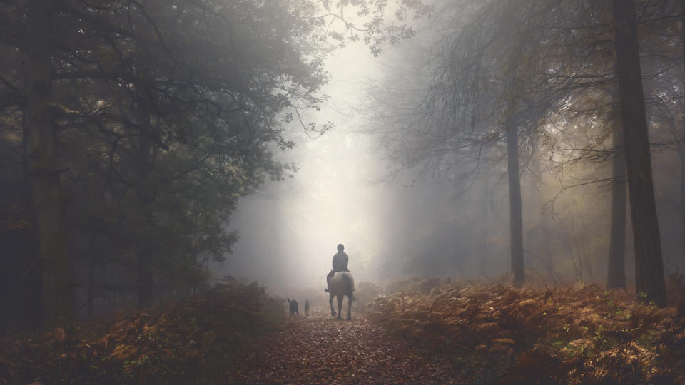 Landscape Photographer of the Year 2022 unseen images