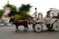A horse-drawn carriage ride near Victoria Memorial is one of the best ways to relive the nostalgia of the Raj days.