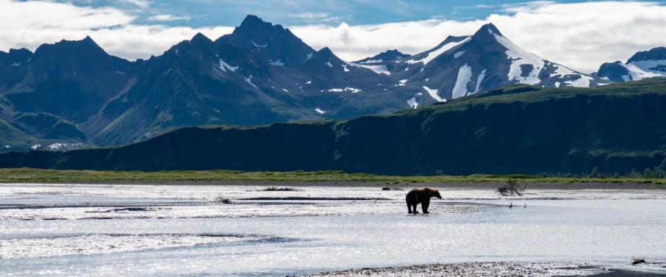 Katmai National Park, Alaska