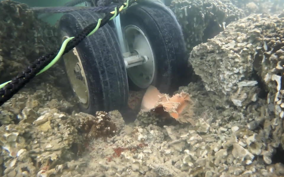 In this image taken from video provided by the U.S. Navy, Navy divers assigned to Mobile Diving and Salvage Unit One (MDSU-1) conduct an underwater survey of the U.S. Navy's P-8A Poseidon in Kaneohe Bay, Hawaii, on Tuesday, Nov. 28, 2023. The U.S. Navy said the underwater footage shows two points where the large plane is touching coral in the Hawaii bay. It's been more than a week since the Navy plane overshot a runway and landed in shallow water just offshore of Marine Corps Base Hawaii at Kaneohe Bay. (U.S. Navy via AP)