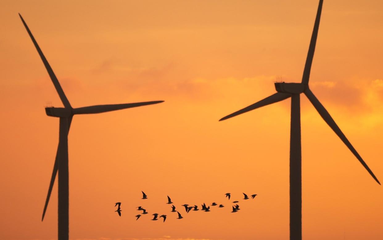 Birds fly past wind turbines that dominate the landscape at Ince Salt Marshes near to chemical and manufacturing plants on the River Mersey estuary on October 11, 2021 - Christopher Furlong 