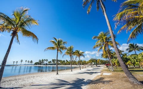 Matheson Hammock Park, Miami - Credit: Siegfried Schnepf