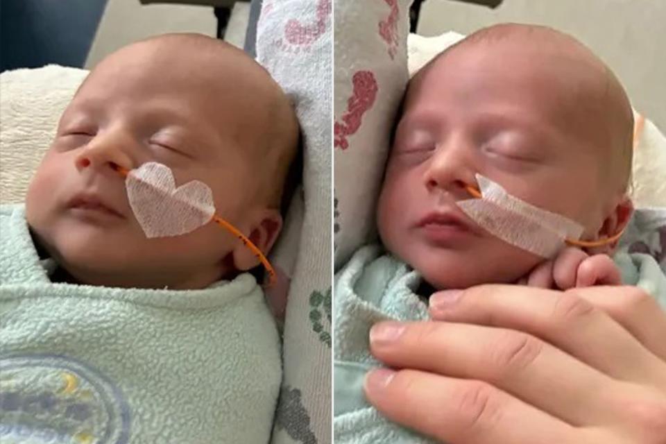 <p>GoFundMe</p> Eli and Easton Reed.