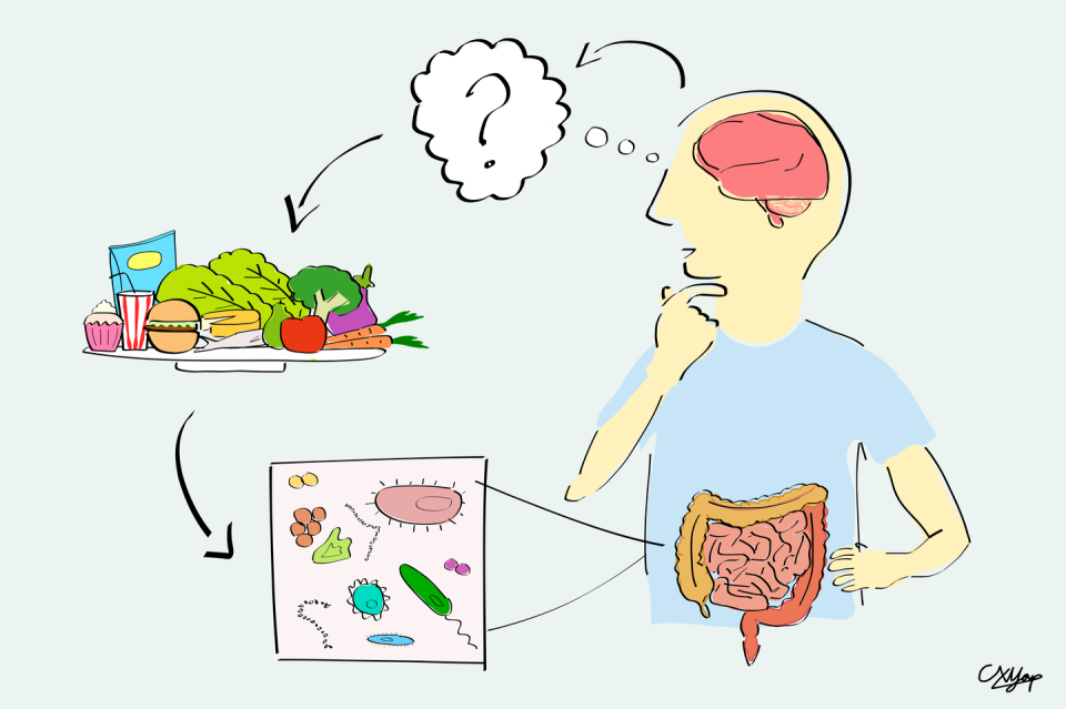 <span class="caption">Changes in gut bacteria are driven by restricted diets.</span> <span class="attribution"><span class="license">Author provided</span></span>