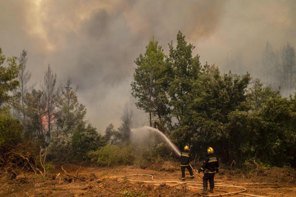 Firefighters from Serbia use a water hose to extinguish a forest fire near the village of Avgaria on Evia (AFP/Getty)