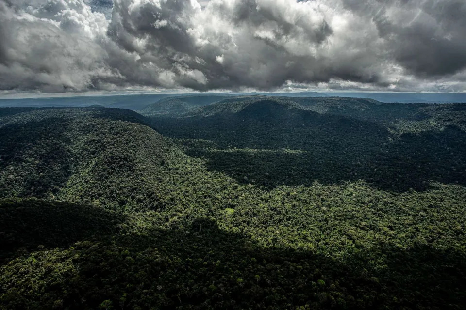 PHOTO: The National Forest in the Carajas mountain range, Para state, Brazil, May 17, 2023. (Dado Galdieri/Bloomberg via Getty Images)