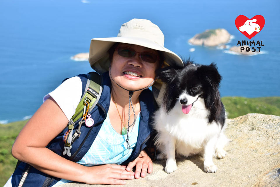 嚴太丈夫早前離世，她在傷心之餘，也擔心愛犬小昭會否因悲傷而影響健康。