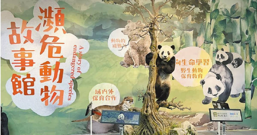 台北市立動物園17日舉行「瀕危動物故事館」開工典禮，人氣最高的大熊貓「團團」標本也在17日正式亮相。（圖／中國時報劉瑋晴攝）