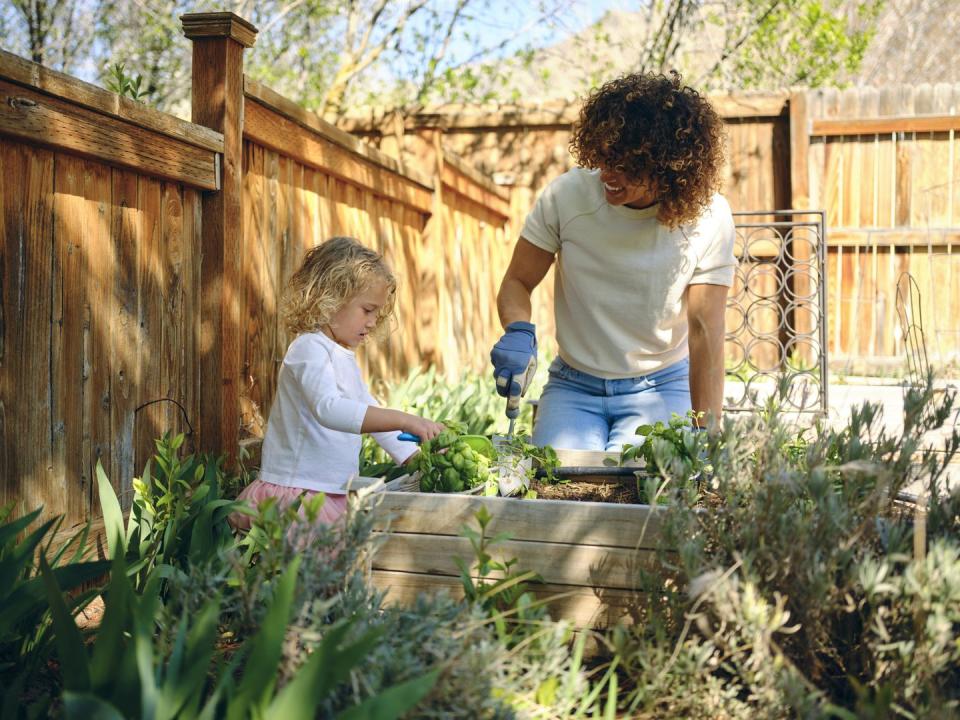 spring activities garden