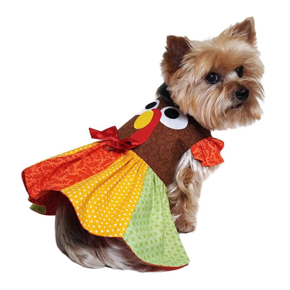 Dog wearing a dress made from a Thanksgiving Dog Dress and Vest Pattern on a white background