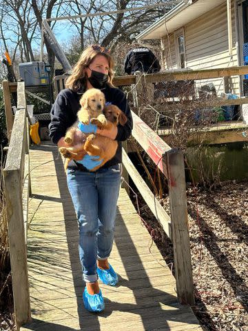 <p>Hopkinton Police Department</p> Two golden retrievers being rescued in Hopkinton, Rhode Island