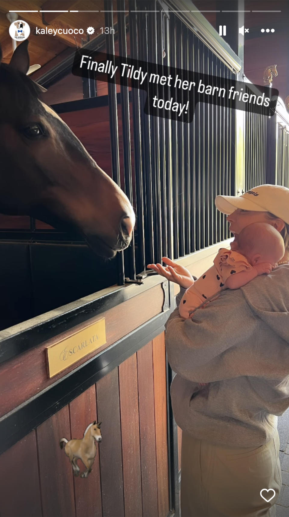 Cuoco gave the details about Matilda's time in the stable, straight from the horse's mouth. (@kaleycuoco via Instagram)