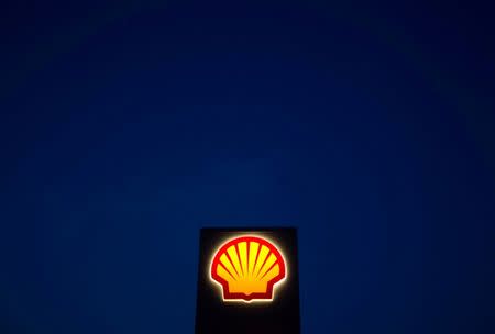A Shell sign is pictured near Nowshera, Pakistan's northwest Khyber-Pakhtunkhwa Province September 8, 2010. REUTERS/Morteza Nikoubazl/File Photo