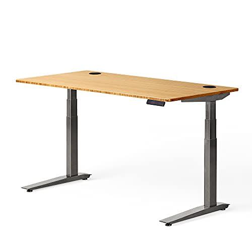 Electric Adjustable Desk