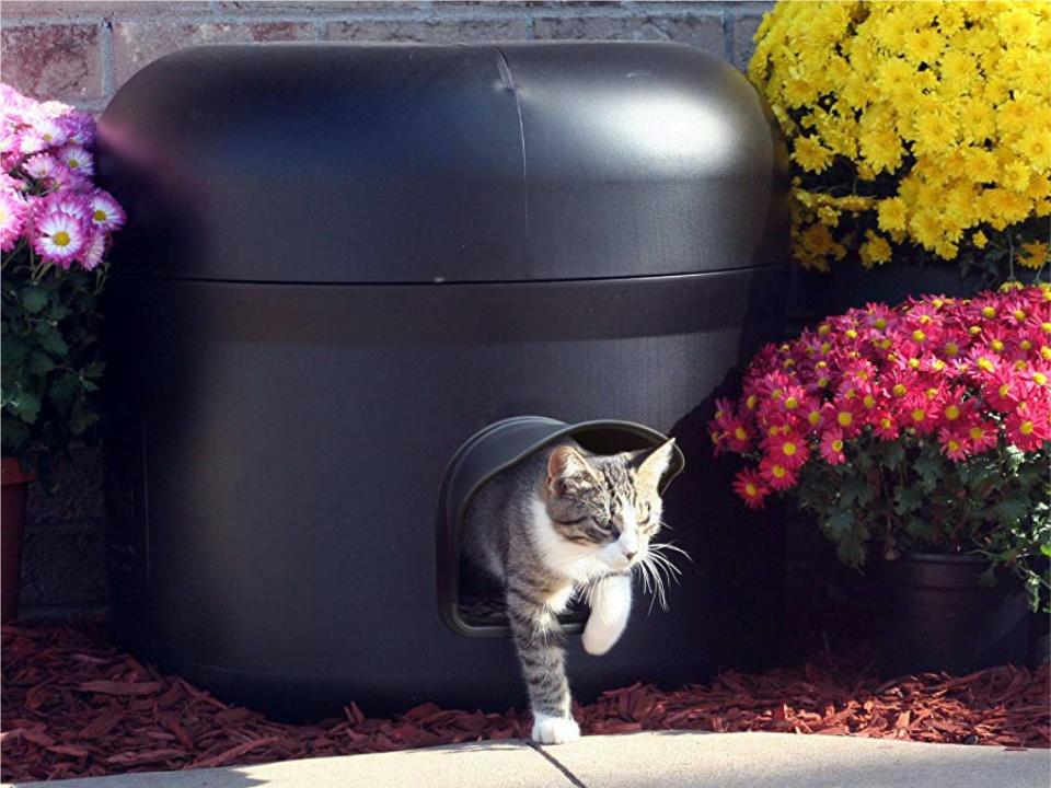 A gray and white tabby cat walking out of the Kitty Tube Outdoor Cat House, surrounded by flowers.