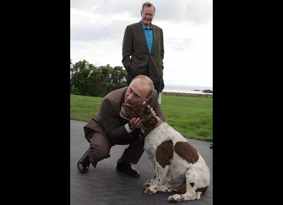 Former U.S. President George Bush watches Putin play with his dog at the Bush family house in Kennebunkport, Maine, on July 1, 2007.