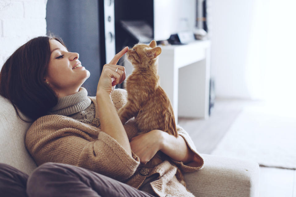 So cats might actually enjoy human companionship after all