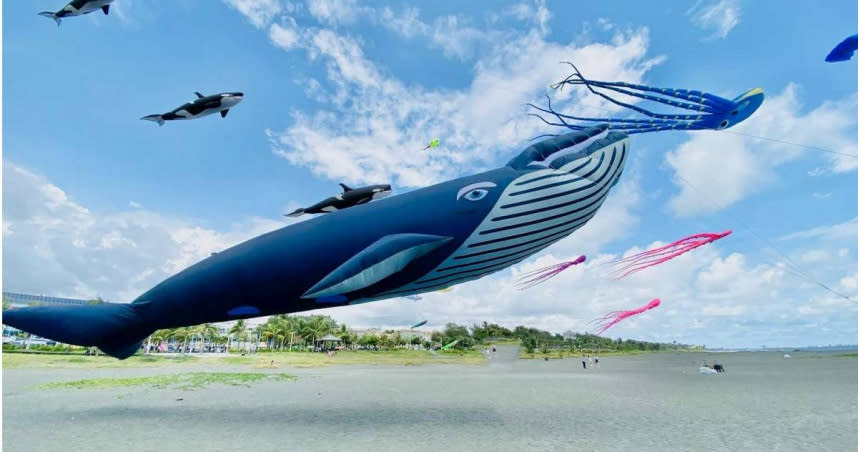 紐西蘭授權的16米鯨魚風箏將在風箏節亮相。（圖／新竹市產發處提供）