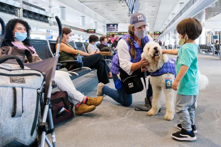 They prove really popular with children in the airport