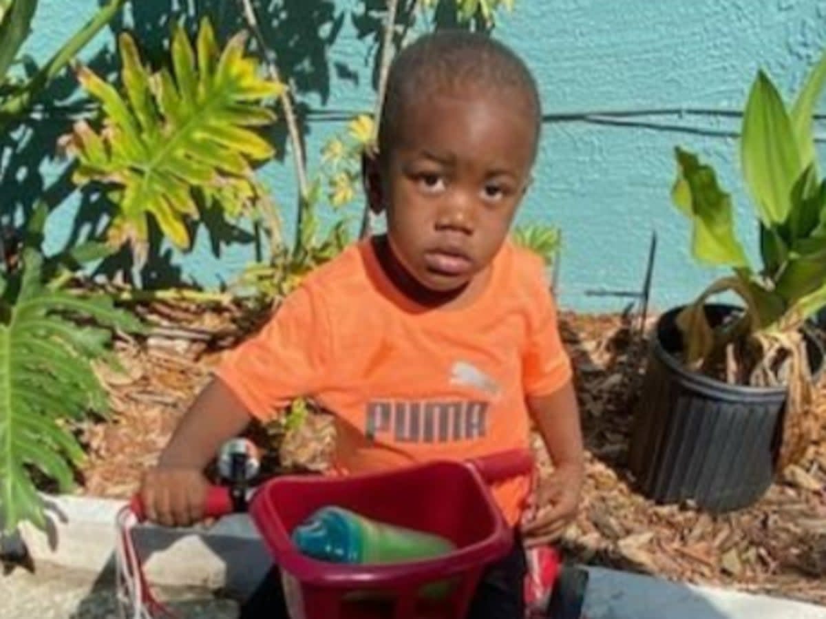 Taylen Mosley was found inside the jaws of an alligator in Forida  (St. Petersburg Police Department)