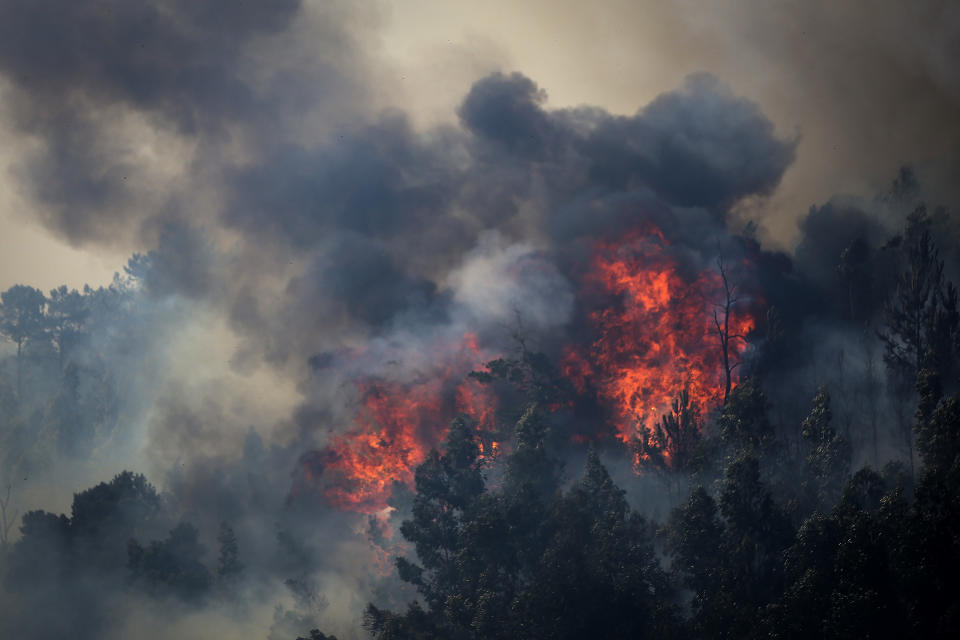 Portugal wildfires