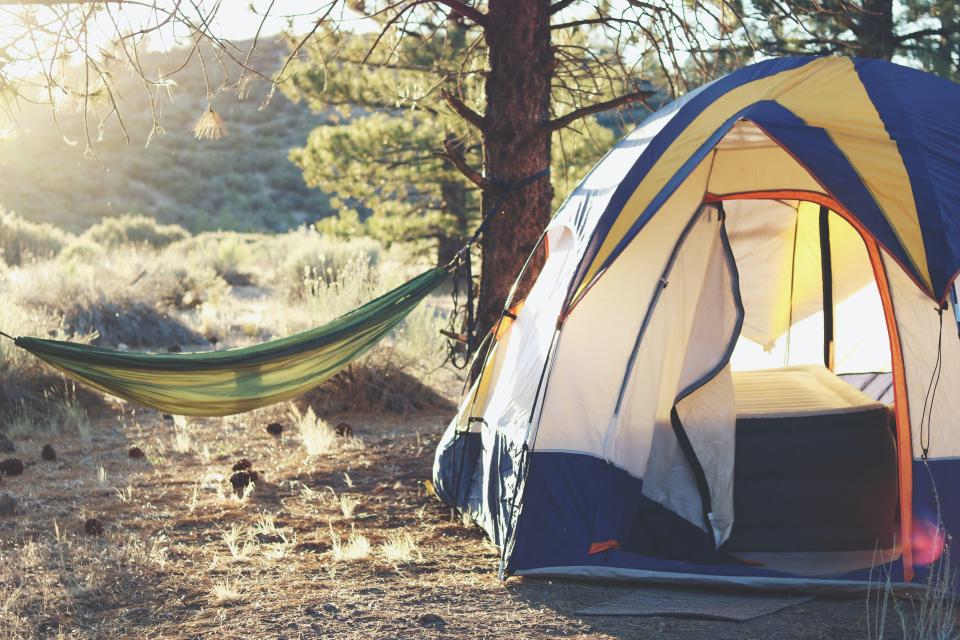 Florida was rated the best state for warm-winter camping by Outdoorsy.