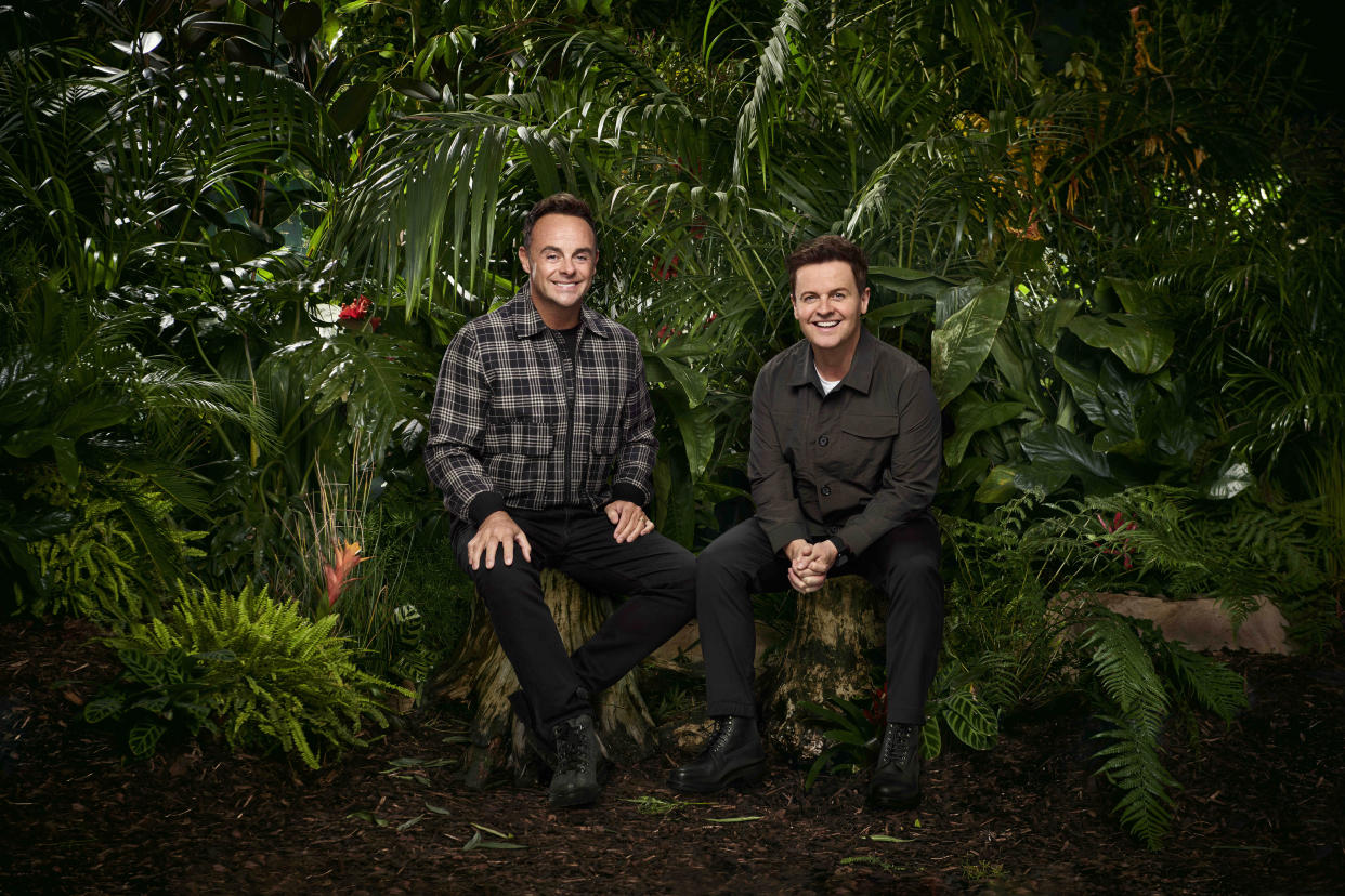 I'm A Celebrity's Ant and Dec are the cheeky hosts of the show  (ITV)
