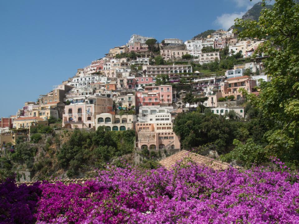 Colorful buildings in a mountain in Positano. There are purple flowers in the foreground.