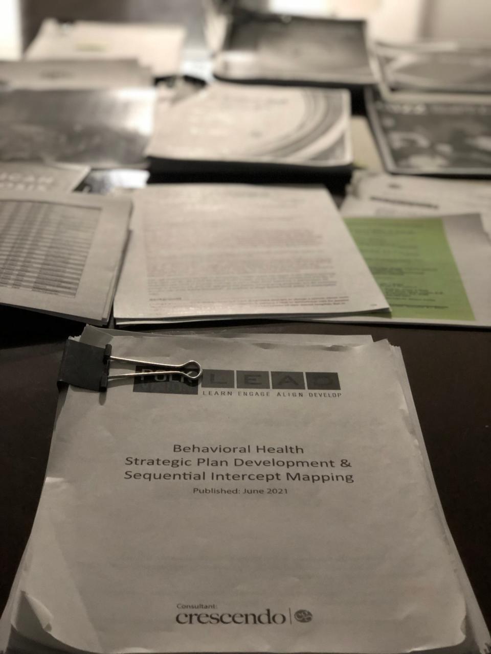 The Ledger spent the last six months interviewing various mental health stakeholders in the county and state, visiting a homeless camp and mental health facilities, reviewing more than 1,000 pages of legal documents, along with federal, state and county reports on the subject. They all paint a grim picture of an escalating crisis.