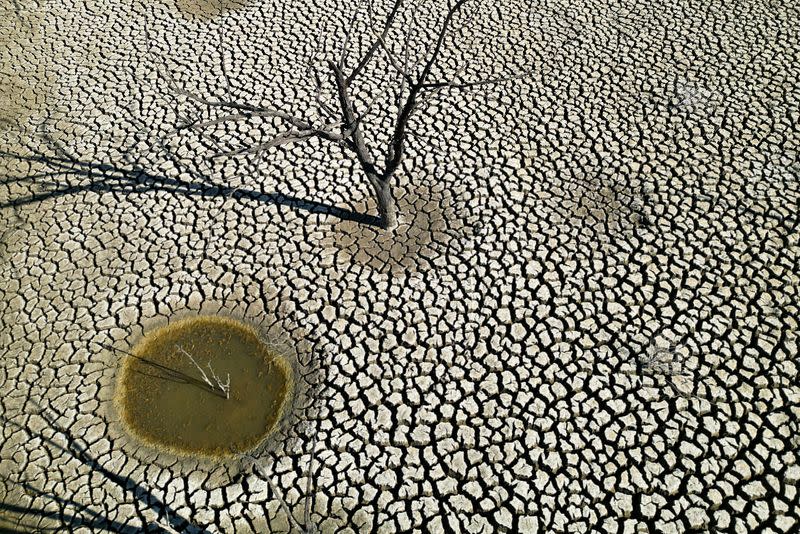 Drought leaves thousands without drinking water in southern Spain