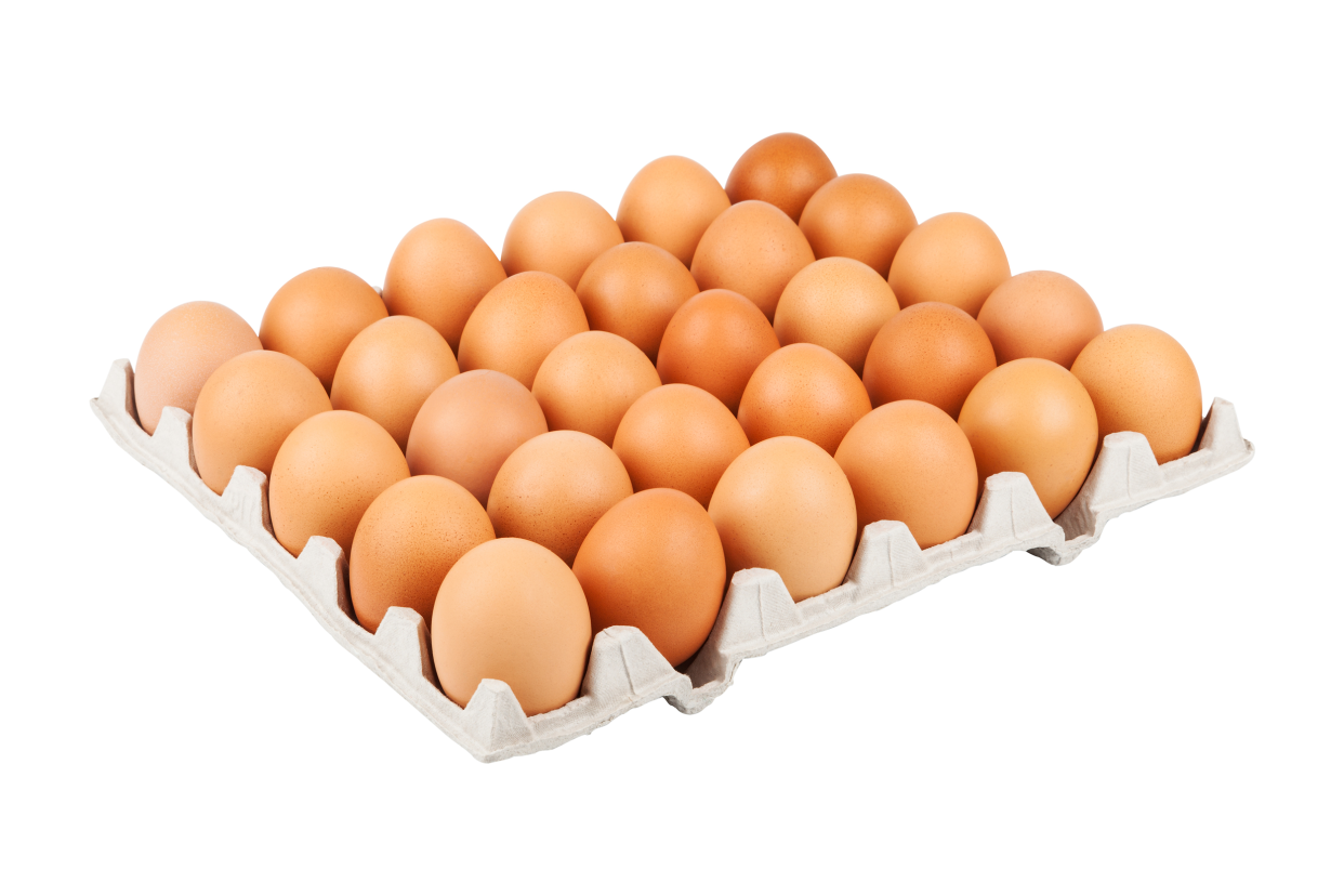 tray of eggs