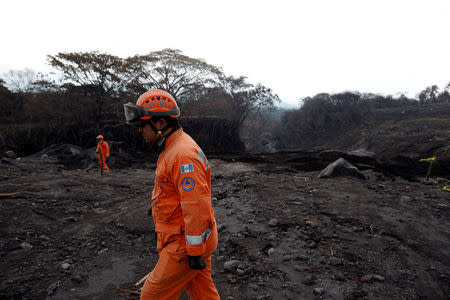 Members of the Guatemala's disaster management agency (CONRED) inspect an area affected by a lahar from Fuego volcano at El Rodeo, Guatemala June 13, 2018. REUTERS/Jose Cabezas