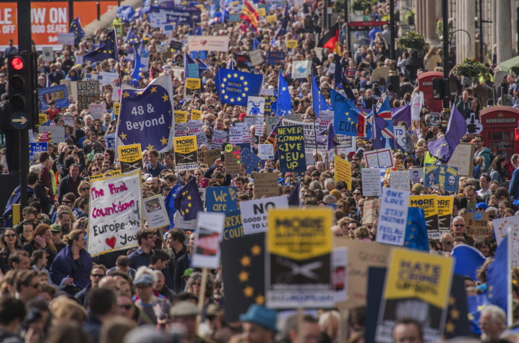 Huge anti-Brexit marches have taken place since the referendum was held last year (Picture: REX Features)