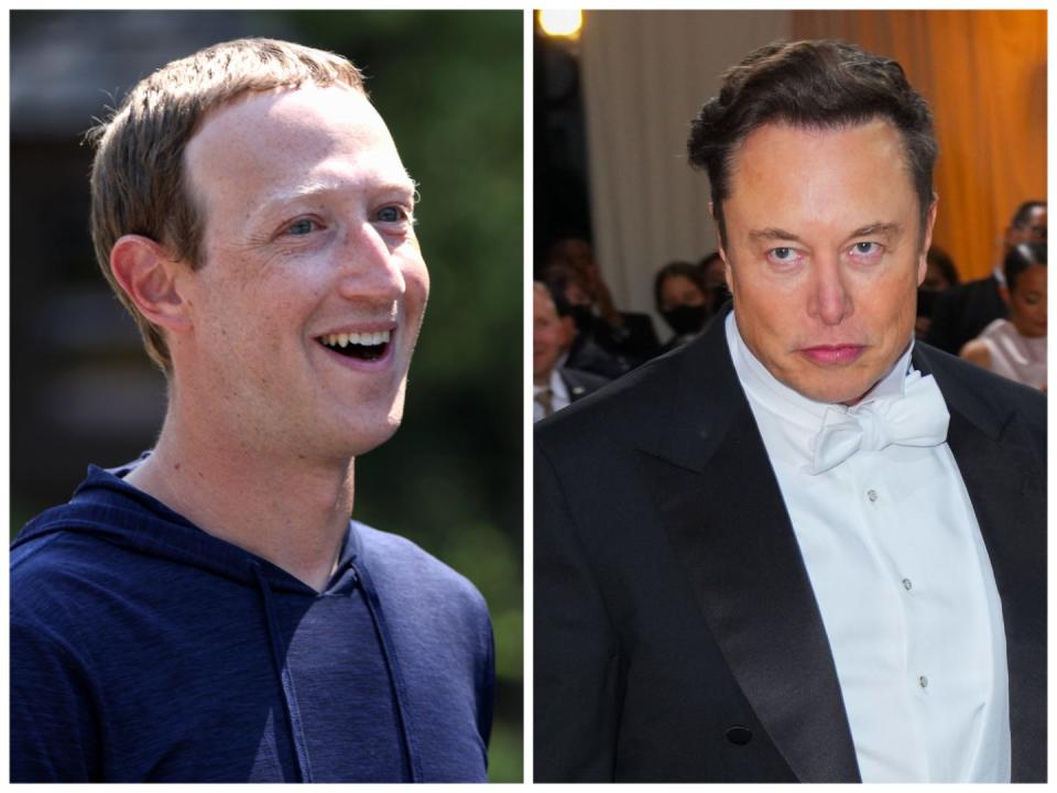 Mark Zuckerberg and Elon Musk