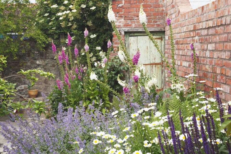 How to Create a Shade Garden, foxgloves and ferns