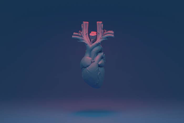 Illustrazione digitale di un cuore blu accurato dal punto di vista medico su sfondo blu con una drammatica illuminazione rossa
