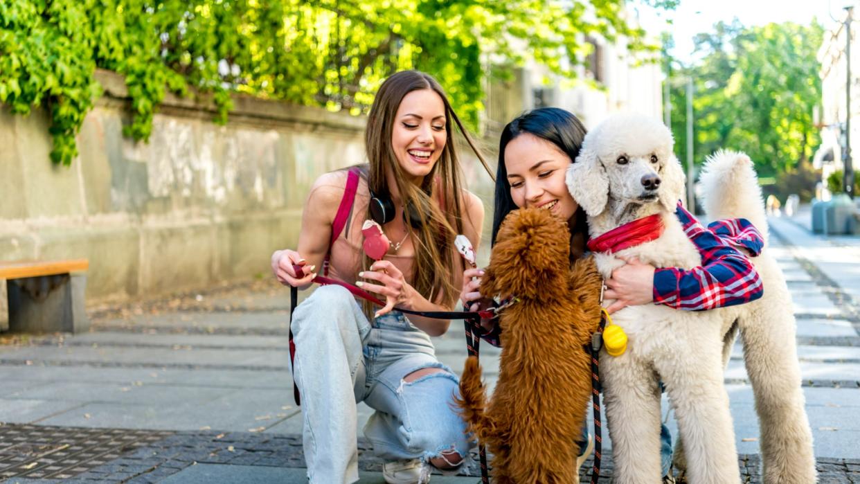 Women with popsicles while out with their dogs