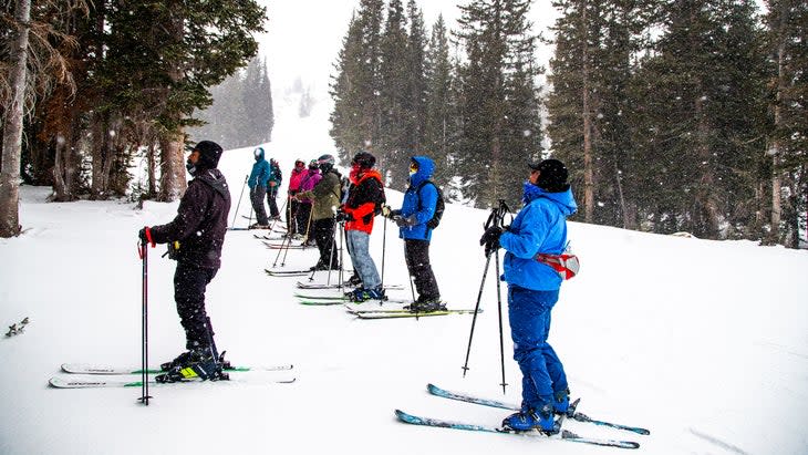 Birding at Alta