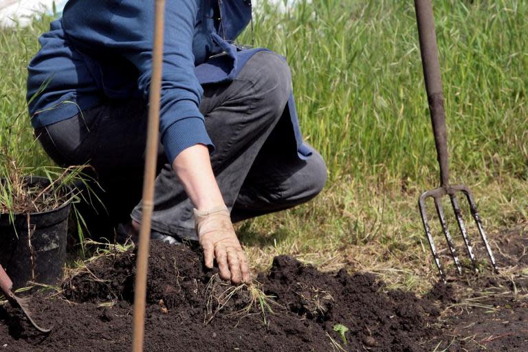 Washington becomes first US state to allow human composting