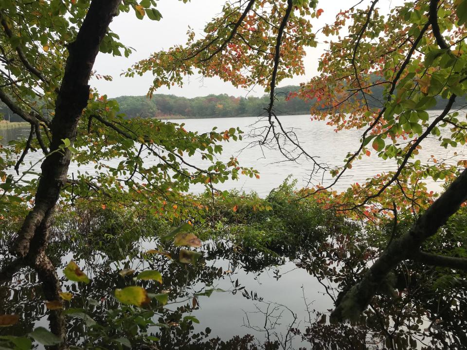 Openings in the trees along a ridgeline trail at Barrington's Sowams Woods offer picturesque views of Echo Lake.