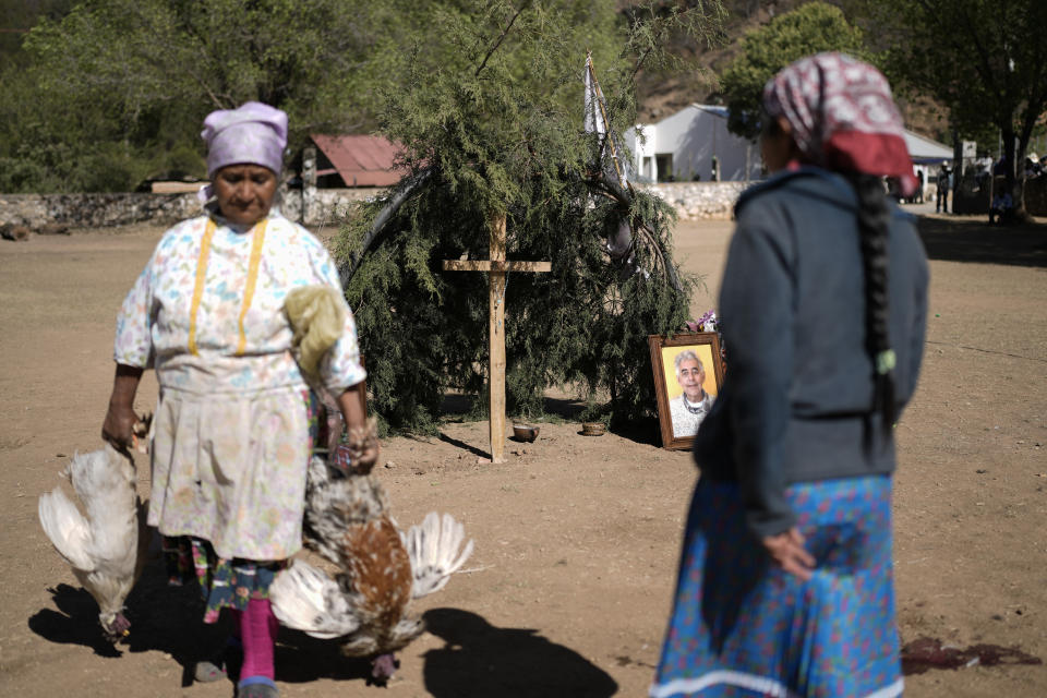 Una fotografía del cura jesuita asesinado Joaquín Mora colocada en una altar en una ceremonia sagrada llamada Yúmari para pedir lluvia y buenas cosechas en honor de Mora y de otro religioso, Javier Campos, que fue también asesinado en 2022 por el líder de una banda, mientras una mujer lleva aves que serán cocinadas para los asistentes en Cuiteco, México, el viernes 10 de mayo de 2024. Entre los habitantes de las montañas de Tarahumara, especialmente entre los indígenas rarámuri, los sacerdotes son a menudo percibidos como figuras profundamente queridas que ofrecen ayuda. (AP Foto/Eduardo Verdugo)