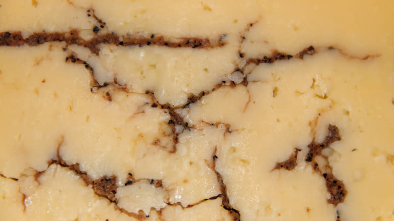 cheese with veins of black truffle